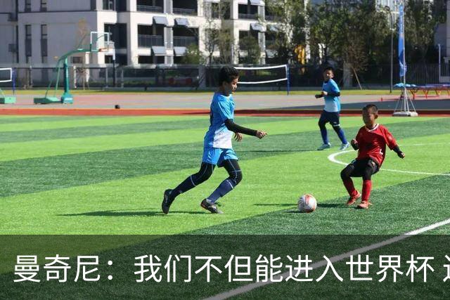 曼奇尼：我们不但能进入世界杯 还能赢得冠军